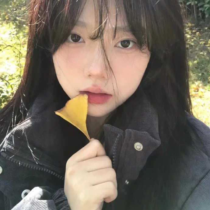 玫瑰信贷