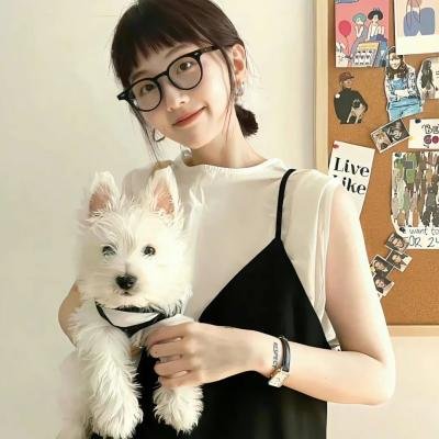 关于哈利的那些事