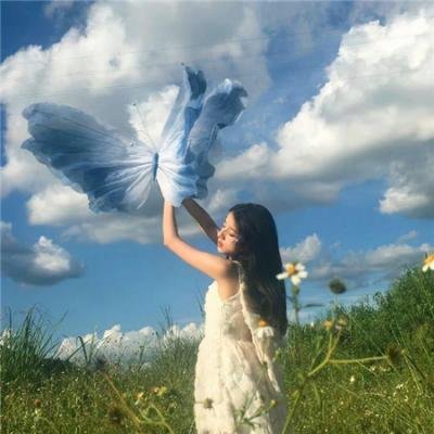 选战风暴
